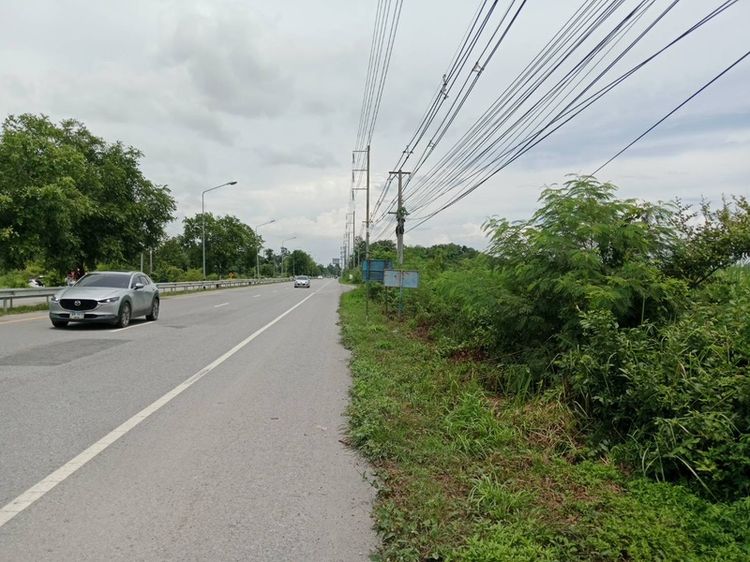 ที่ดินทำเลทอง ติดถนนหลัก อาเซียน(ถนนมะลิวัลย์) หนองเรือ 115 ไร่ หน้ากว้าง ร้อยกว่าเมตร รูปที่ 2