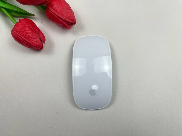 Apple Magic Mouse2 (Lightning)