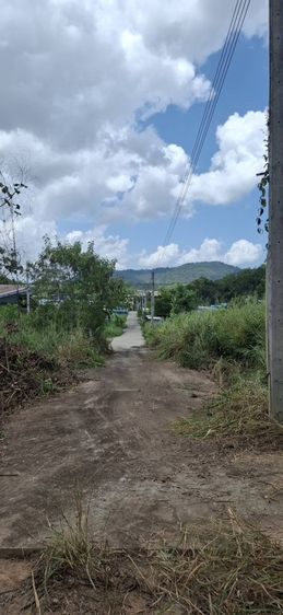 ขายที่ดิน
