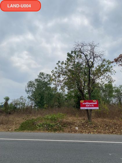ขายที่ดิน 13 ไร่ ต.ทุ่งกระเชาะ อ.บ้านตาก จ.ตาก รูปที่ 2