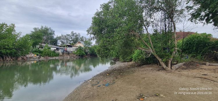ขายที่ดิน ติดท่าจอดเรือ ประมงชาวบ้าน ปากอ่าวทะเล ห่างชายหาดทะเล 25 เมตร วิวสวย ติดคลองน้ำเค็ม ออกเรือถึงทะเล แค่ 1 นาที รูปที่ 3