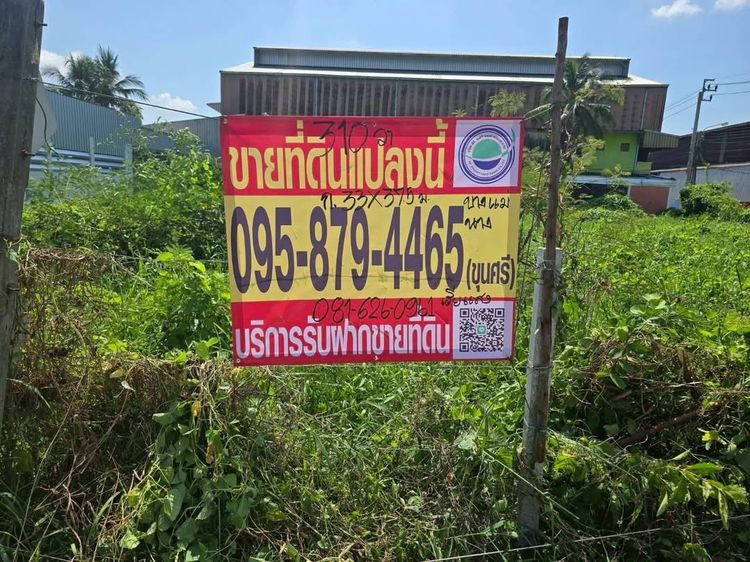 ขายด่วนที่ดิน 310 ตารางวา ติดถนสาธารณะ 2 ด้านแปลงมุม บางแม่นาง บางใหญ่ นนทบุรี
