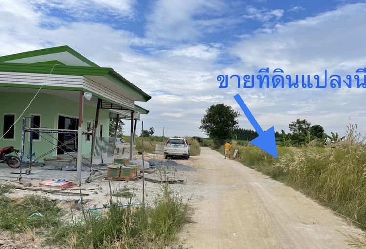 ขายที่ดิน ขนาด 50 ตารางวา หนองบอนแดงซอย7