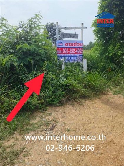 ที่ดินเปล่า 23 ไร่ 142 ตร.ว. ไร่สมถวิล ใกล้อำเภอมวกเหล็ก ถนนมิตรภาพ ปากช่อง นครราชสีมา