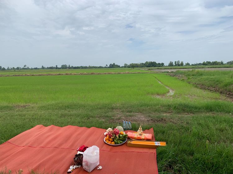 ขายที่ดิน 11 ไร่ 3 งาน อ.บางกระทุ่ม จ.พิษณุโลก ทำเลดี บรรยากาศร่มรื่น เหมาะสำหรับการลงทุน รูปที่ 2