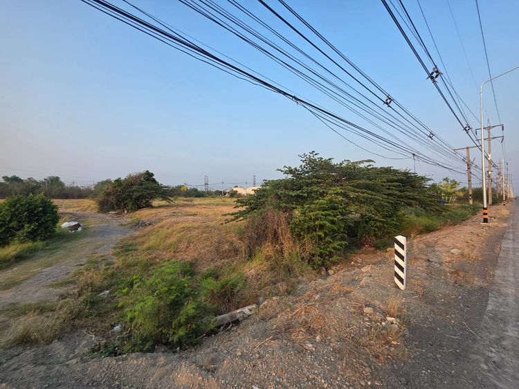 ขายที่ดินสีม่วง จ.สระบุรี รูปที่ 4