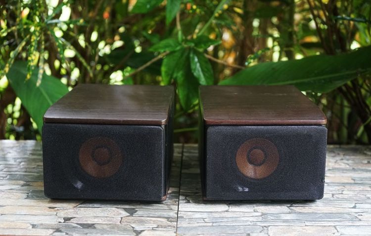 ลำโพงบุคเชล JVC SP-EXS1B กรวยไม้แท้ 