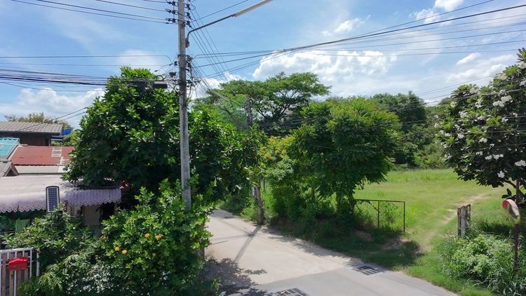 ขายที่ดินทำเลดี ราคาสุดคุ้ม ใกล้เมืองโคราช  พิกัดใกล้วัดศาลาลอย ห่างไม่ถึง 1 กม.  หน้าติดถนน เข้า-ออกสะดวก เดินทางง่าย  ด้านหลังติดน้ำ บรรยา รูปที่ 3