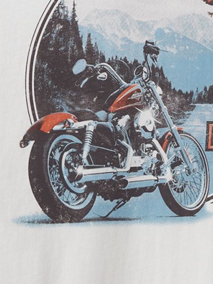 เสื้อยืด Harley-Davidson รูปที่ 6