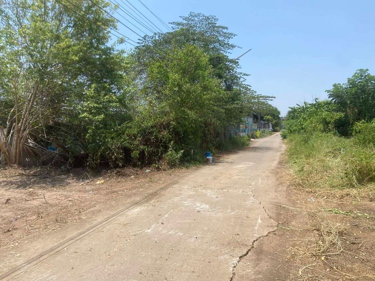 ขายที่ดินเปล่า ใกล้ราชมงคล้านนา พิษณุโลก รูปที่ 3