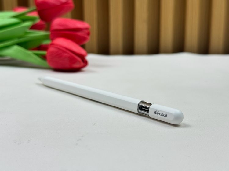 Apple Pencil USB-C White - E022