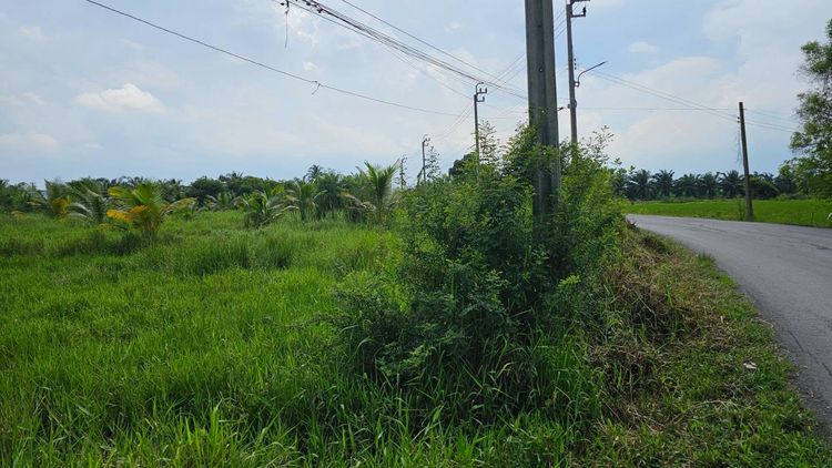 ที่ดิน 4.5 ไร่ หน้ากว้าง ถนนคอนกรีต คลอง 11 มีลำรางผ่าน