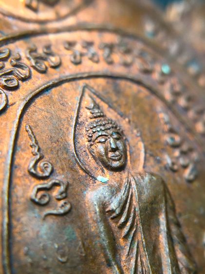 เหรียญพญาเต่าเรือน รุ่นปางเปิดโลก (พิมพ์ใหญ่ ) ปี 2539 หลวงปู่หลิว ปณฺณโก วัดไร่แตงทอง จ.นครปฐม รูปที่ 6