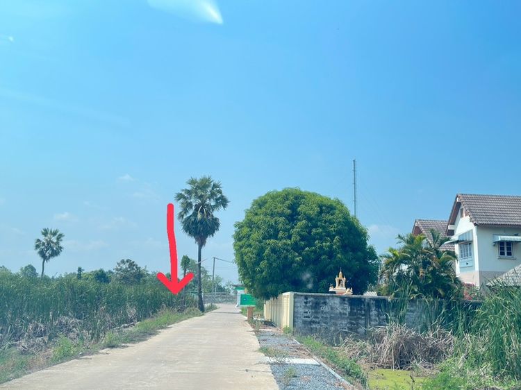 เจ้าของขายเอง! ที่ดิน 120 ตร.ว. ราคาเพียง 1.09 ล้านบาท รูปที่ 4