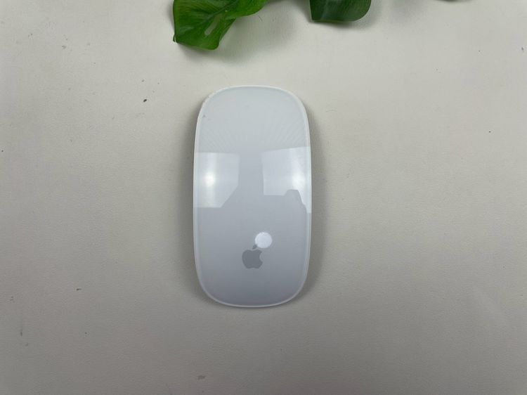 Apple Magic Mouse2 (Lightning) 
