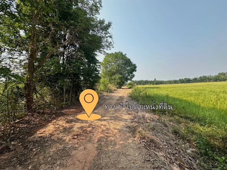 ขายที่ดิน รูปที่ 4