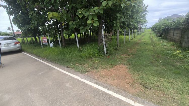 ขายที่ดินสวนสักเต็มพื้นที่