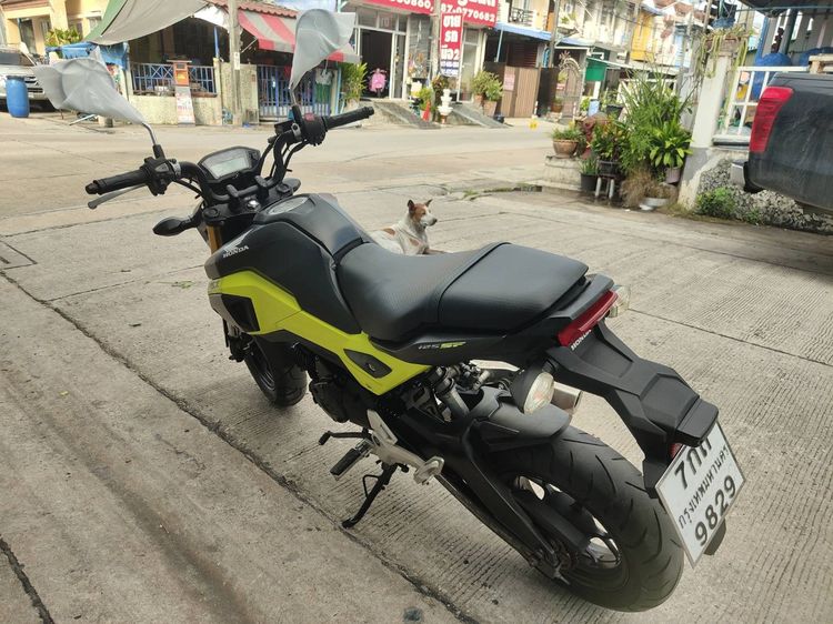 🛵ยังไงก็ขาย MSX125 ปี 59 เครื่องดี สีสวย สตาร์ทมือ(ล๊อคคอไม่ได้) รถบ้านพร้อมใช้งาน เปลี่ยนน้ำมันเครื่องฟรี ส่งฟรี30กิโล รูปที่ 6