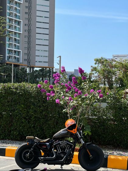 Harley-Davidson 48 custom
