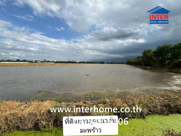 ที่ดินเปล่า 10 ไร่ 163 ตร.ว. ขายที่ดินแปลงสวย ทำเลศักยภาพ นนทบุรี ใกล้ I am Bean Roasting Loft (ไทรน้อย) ติดถนนปทุมธานี-บางเลน ไทรน้อย นนทบุ