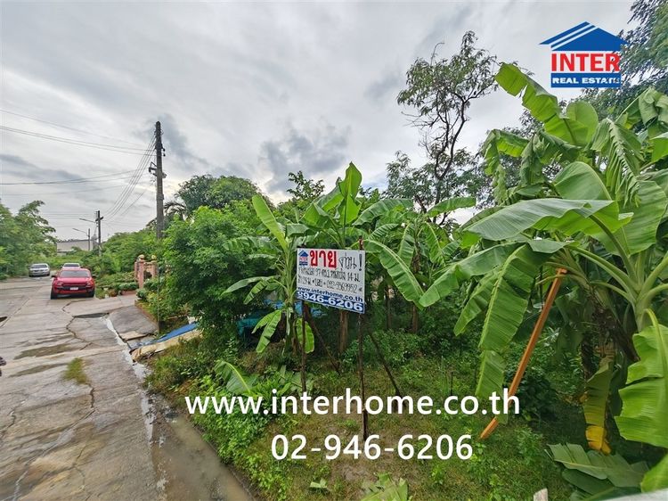 ที่ดินเปล่า 97 ตร.ว. ที่ดิน หมู่บ้านมหามกุฏ ถนนบรมราชชนนี ถนนพุทธมณฑลสาย5 พุทธมณฑล นครปฐม รูปที่ 2