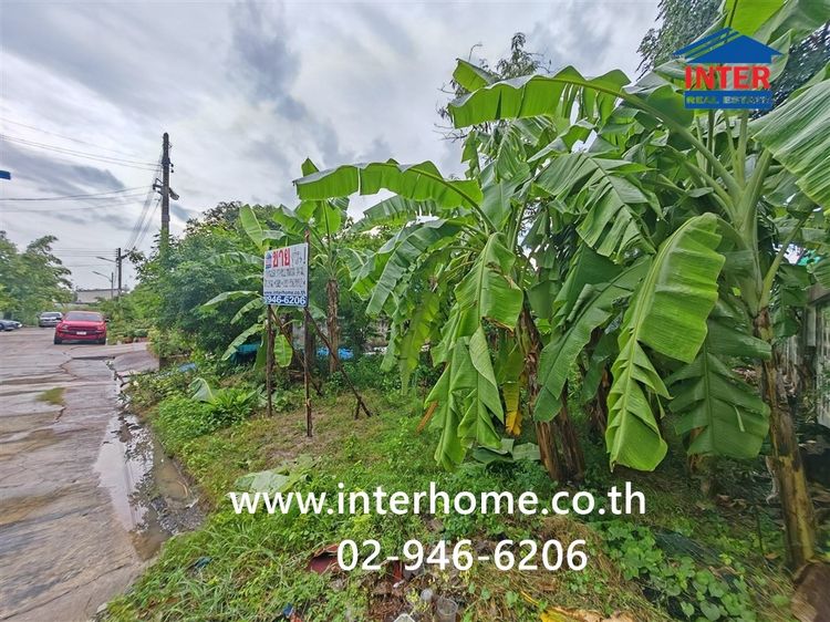 ที่ดินเปล่า 97 ตร.ว. ที่ดิน หมู่บ้านมหามกุฏ ถนนบรมราชชนนี ถนนพุทธมณฑลสาย5 พุทธมณฑล นครปฐม รูปที่ 4
