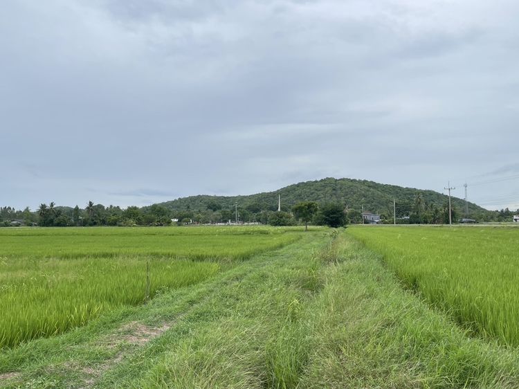 ที่ดิน บ้านโป่ง ราชบุรี รูปที่ 3