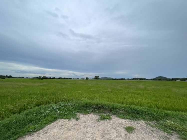ที่ดิน บ้านโป่ง ราชบุรี รูปที่ 2