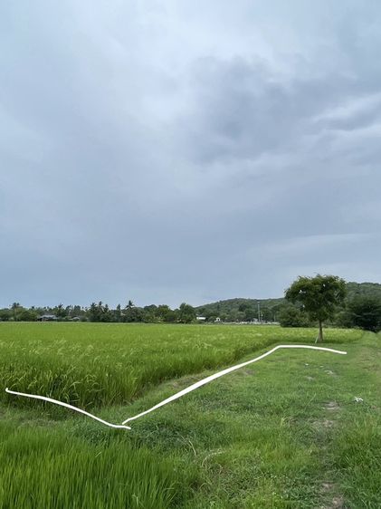 ที่ดิน บ้านโป่ง ราชบุรี