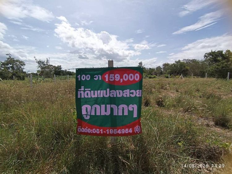 ขายที่ดิน100ตารางวาถูกมากๆ