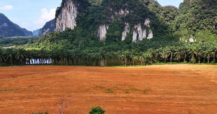 ที่ดินแบ่งขาย กระบี่ เขาคราม ติดภูเขา ใกล้อ่าวนาง ติดถนนหลัก รูปที่ 2