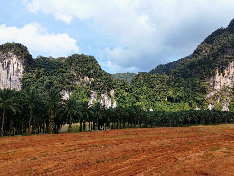 ที่ดินแบ่งขาย กระบี่ เขาคราม ติดภูเขา ใกล้อ่าวนาง ติดถนนหลัก รูปที่ 4