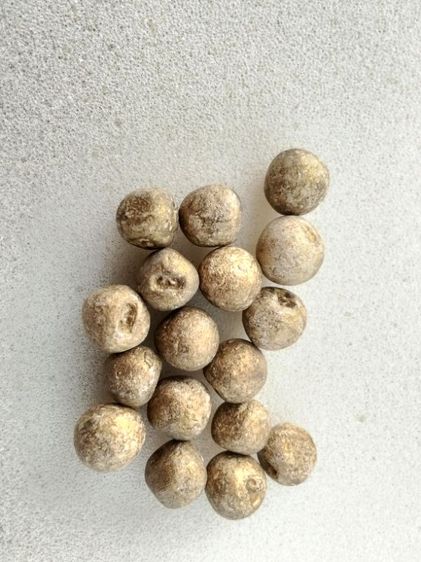 ลูกอมผงพรายกุมาร โค้ตเลข3 หลวงปู่ทิม วัดละหารไร่ จ.ระยอง ปี 17
