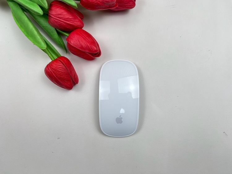 Apple Magic Mouse2 (Lightning)