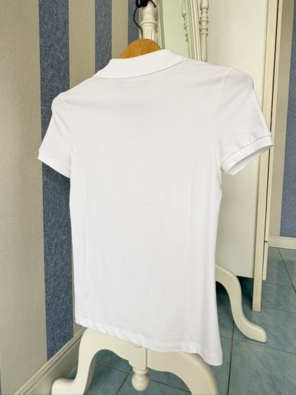 เสื้อโปโลLacoste แท้จากห้าง size 34 ขาว สินค้าใหม่ รุ่นL.12.D ผ้าJersey รูปที่ 4
