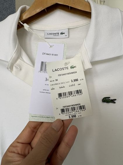 เสื้อโปโลLacoste แท้จากห้าง size 34 ขาว สินค้าใหม่ รุ่นL.12.D ผ้าJersey รูปที่ 2