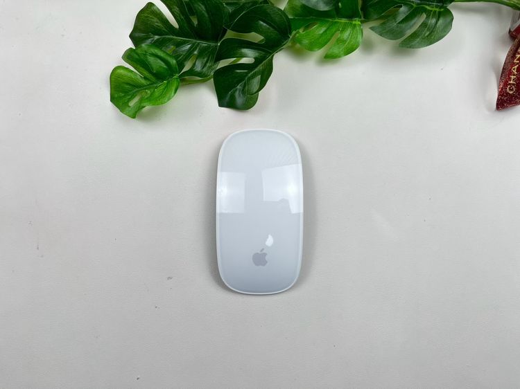 Apple Magic Mouse2 (Lightning)
