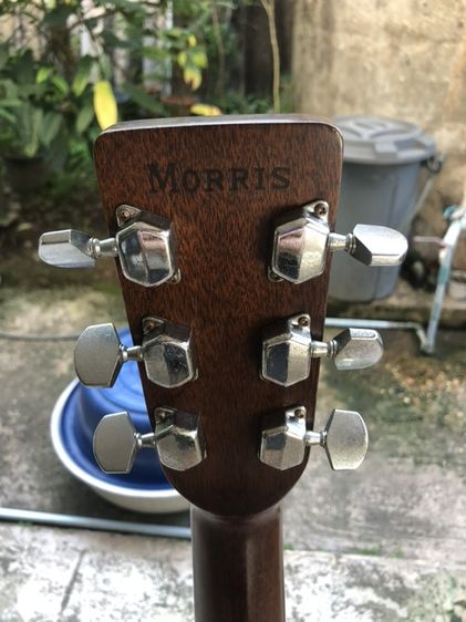 กีต้าร์ Morris W20 รูปที่ 5
