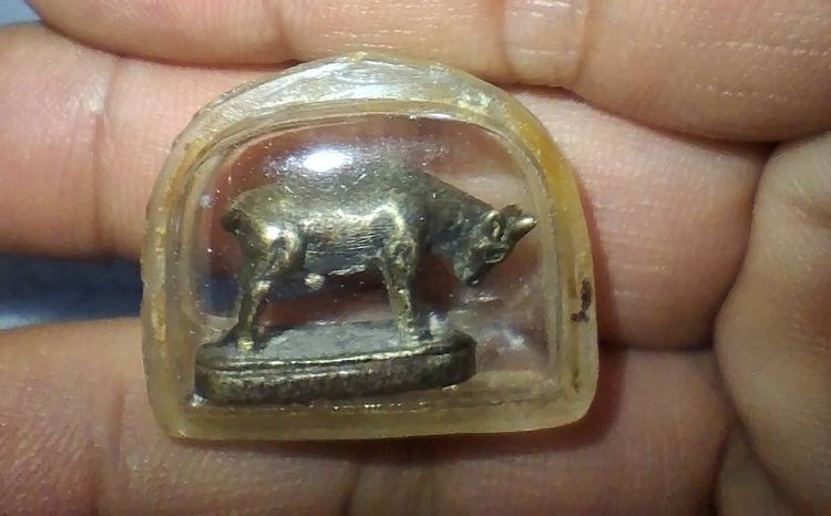 วัวธนู หลวงพ่อแช่ม วัดดอนยายหอม
