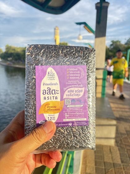 ข้าวเหนียว อสิตะ  ข้าวกล้อง มีสีม่วงดำเข้ม เมื่อขัดผิวข้าวกล้องออก เนื้อแป้งเป็นสีขาวขุ่นอมม่วงรสชาติและจุดเด่น : มีกลิ่นหอม 2 ระดับ หอมมาก รูปที่ 15