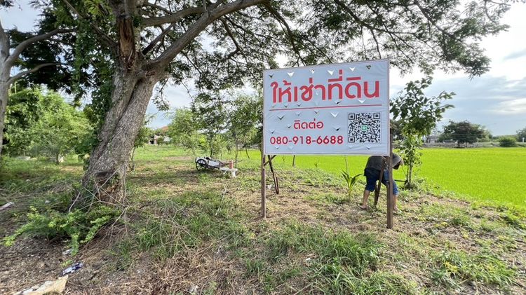 ใช่ ที่ดินให้เช่าในเขตเทศบาล รูปที่ 4