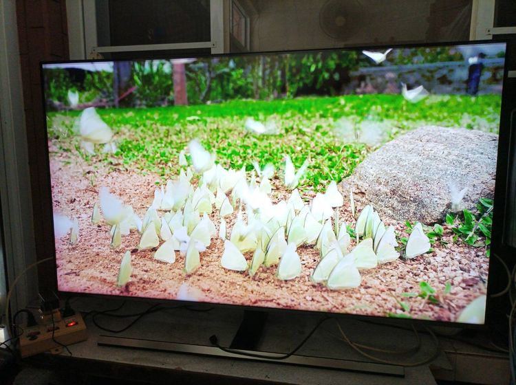 LED smart TV samsung 8k 55 นิ้ว ดูyoutube netflix ส่งคลิปมือถือ ดูดิจิตอลทีวีได้เลย ภาพสวยเสียงดี รีโมทครบ เพียง 1590 บาท(อ่านด้านล่างด้วย)  รูปที่ 10