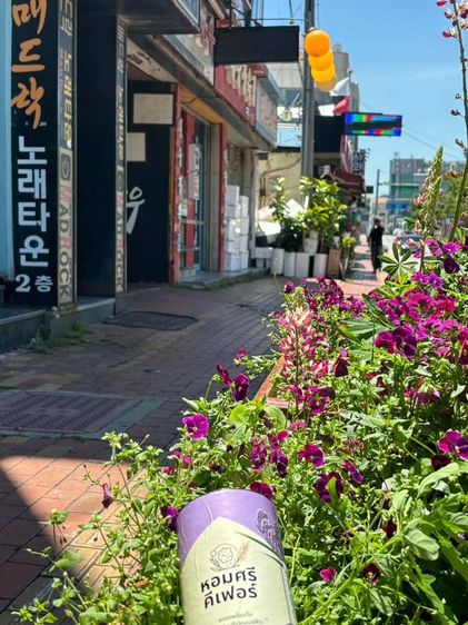 หอมศรี คีเฟอร์ นวัตกรรมจากข้าวหอม อสิตะ ผงชงพร้อมดื่ม คีเฟอร์นมข้าวหอมอสิตะ (คีเฟอร์หรือนมโพรไบโอติก)	•	เป็นเครื่องดื่มหมักที่มีจุลินทรีย์ รูปที่ 15