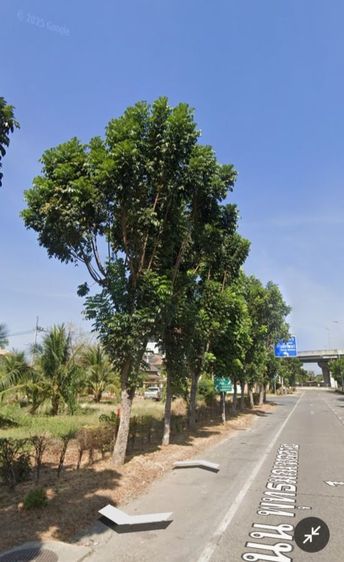 ที่ดินติดถนนพุทธมณฑลสาย1 เนื้อที่1ไร่ ใกล้สวนผัก บรมฯ สายใต้ใหม่ รูปที่ 2