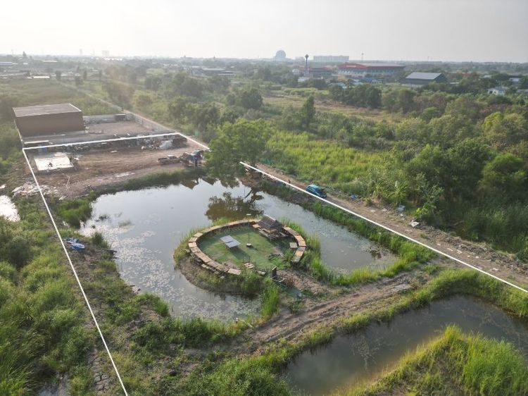 ขายที่ดินตำบลคลองสี่ อำเภอคลองหลวงจังหวัดปทุมธานี รูปที่ 2