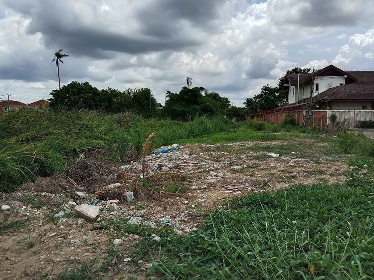 ที่ดินพุทธมณฑลสาย1เข้าซอย900เมตร เนื้อที่4ไร่ เหมาะสร้างบ้านพักอาศัย รูปที่ 4