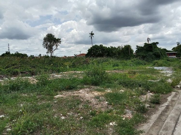 ที่ดินพุทธมณฑลสาย1เข้าซอย900เมตร เนื้อที่4ไร่ เหมาะสร้างบ้านพักอาศัย