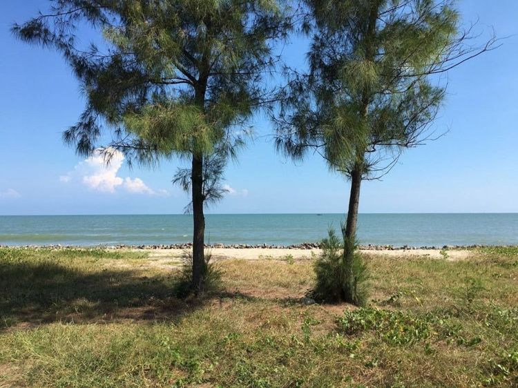 ขายที่ดินติดทะเลปึกเตียน หาดเพชร ทำเลหายาก หน้าหาดสวยมาก รูปที่ 2