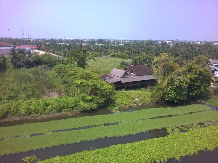 ที่ดินติดแม่น้ำท่าจีน3ไร่ท่าตลาด5ทับ1 ใกล้วัดไร่ขิง450เมตร