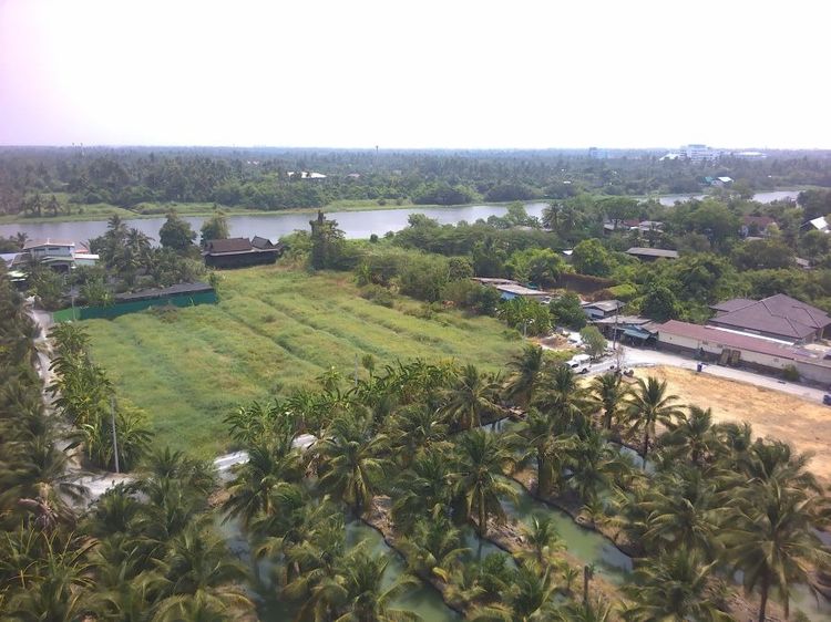 ที่ดินติดแม่น้ำท่าจีน3ไร่ท่าตลาด5ทับ1 ใกล้วัดไร่ขิง450เมตร รูปที่ 4